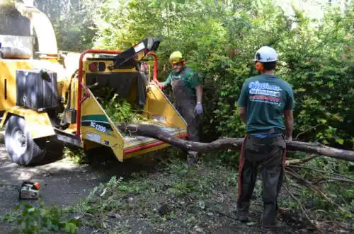 tree services Clearlake Oaks